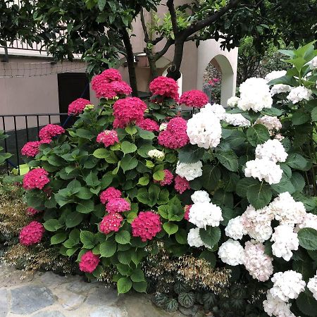 B&B Ca' Du Brigidin Tovo San Giacomo Bagian luar foto