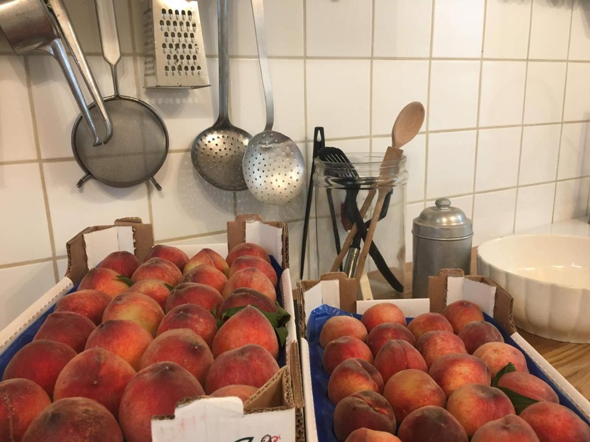 B&B Ca' Du Brigidin Tovo San Giacomo Bagian luar foto
