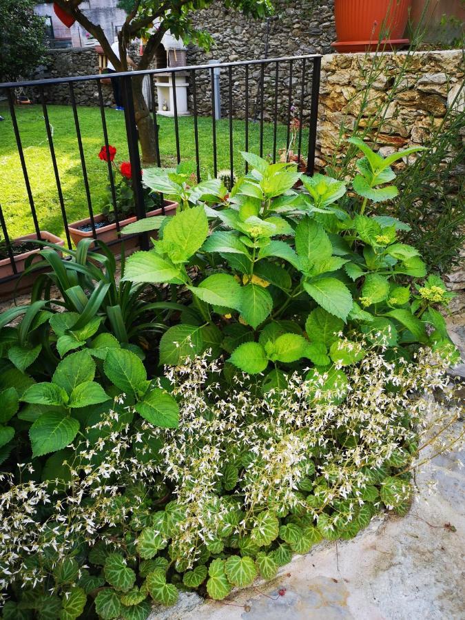 B&B Ca' Du Brigidin Tovo San Giacomo Bagian luar foto