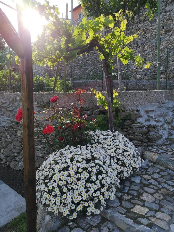 B&B Ca' Du Brigidin Tovo San Giacomo Bagian luar foto