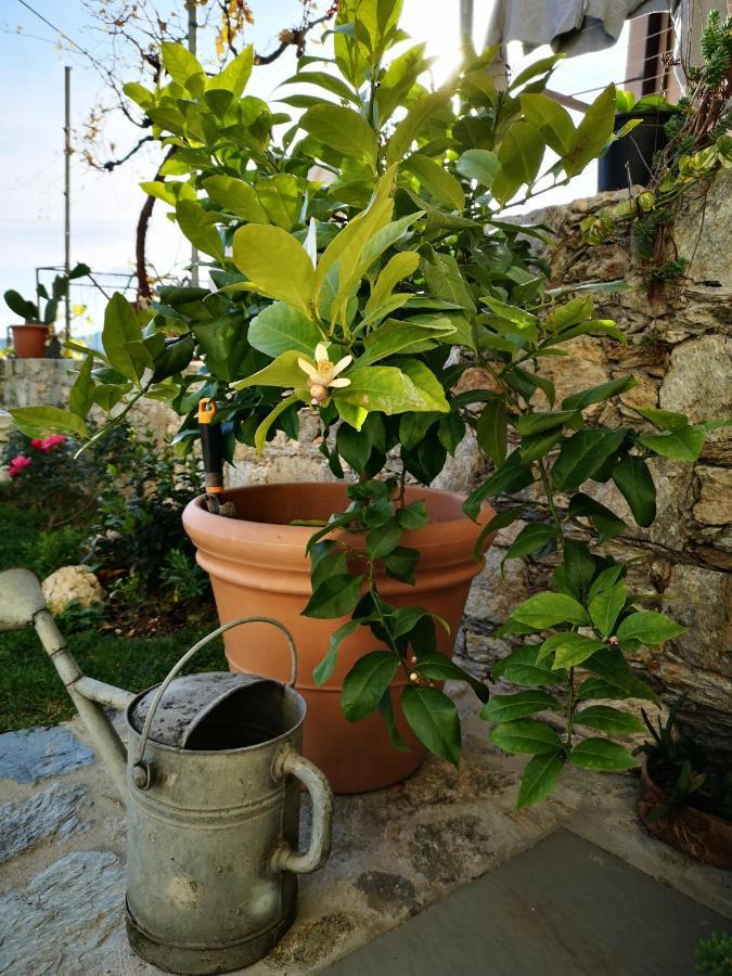 B&B Ca' Du Brigidin Tovo San Giacomo Bagian luar foto